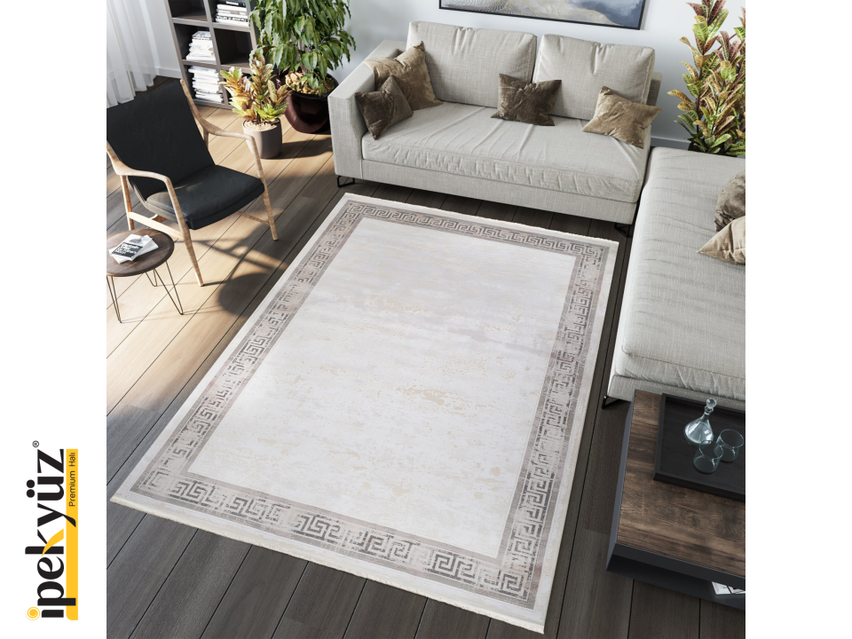 Woven Serisi 844A Premium Bej-Gri Modern Salon Halısı