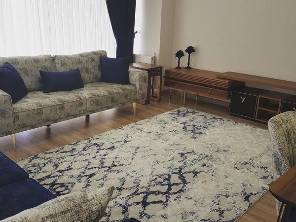 AGORA TU07A DİKDÖRTGEN 160X230 3,68M2